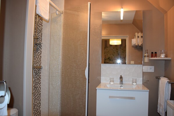 Un baño con ducha, inodoro, lavabo y espejo.