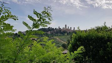 Vista d'una vila històrica situada en un turó, amb un castell, envoltada de vegetació abundant i un cel serè.