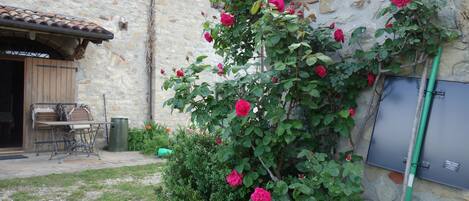 Un edificio de piedra con tejado de baldosas, una mesa y sillas de madera afuera, y un arbusto con flores rosadas.
