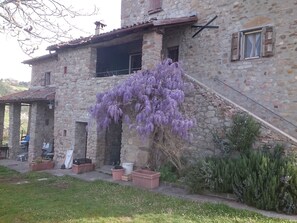 Free daily local cuisine breakfast - Bed and breakfast Monte Bibele (Monterenzio)