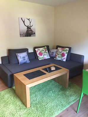 Un salon avec un canapé gris foncé, deux coussins à motifs floraux, une télécommande et une table basse en bois.