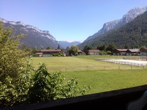 Apartment, 2 Bedrooms, Mountain View (Katy) | View from room - Haus Alpenrose (Waidring)