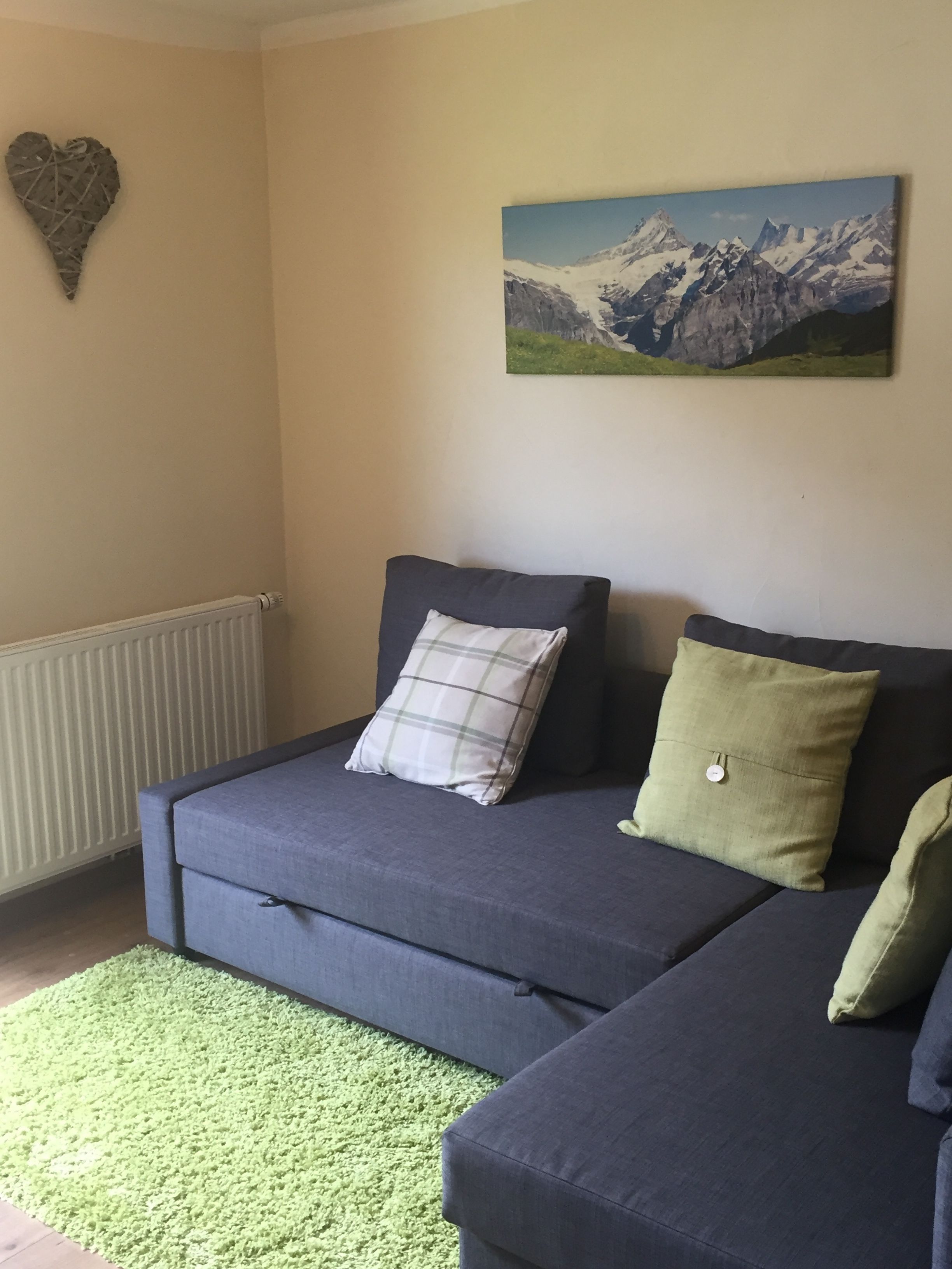 Un salon avec un canapé gris foncé, un tapis vert, un élément décoratif en forme de cœur accroch é au mur et un tableau représentant un paysage de montagne.