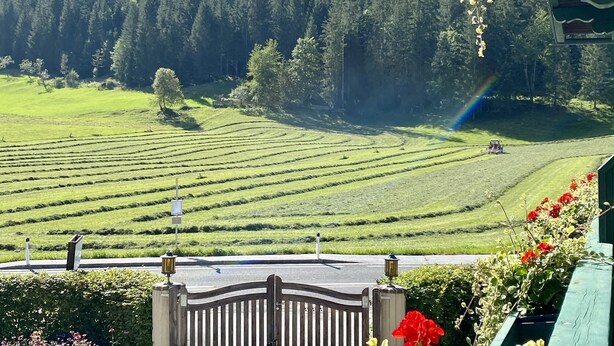 Vista de campos en terrazas con un arcoíris, un camino y una puerta adornada con flores.