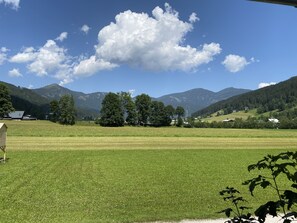 Traditional Cottage, 2 Bedrooms, Patio, Mountainside | View from room