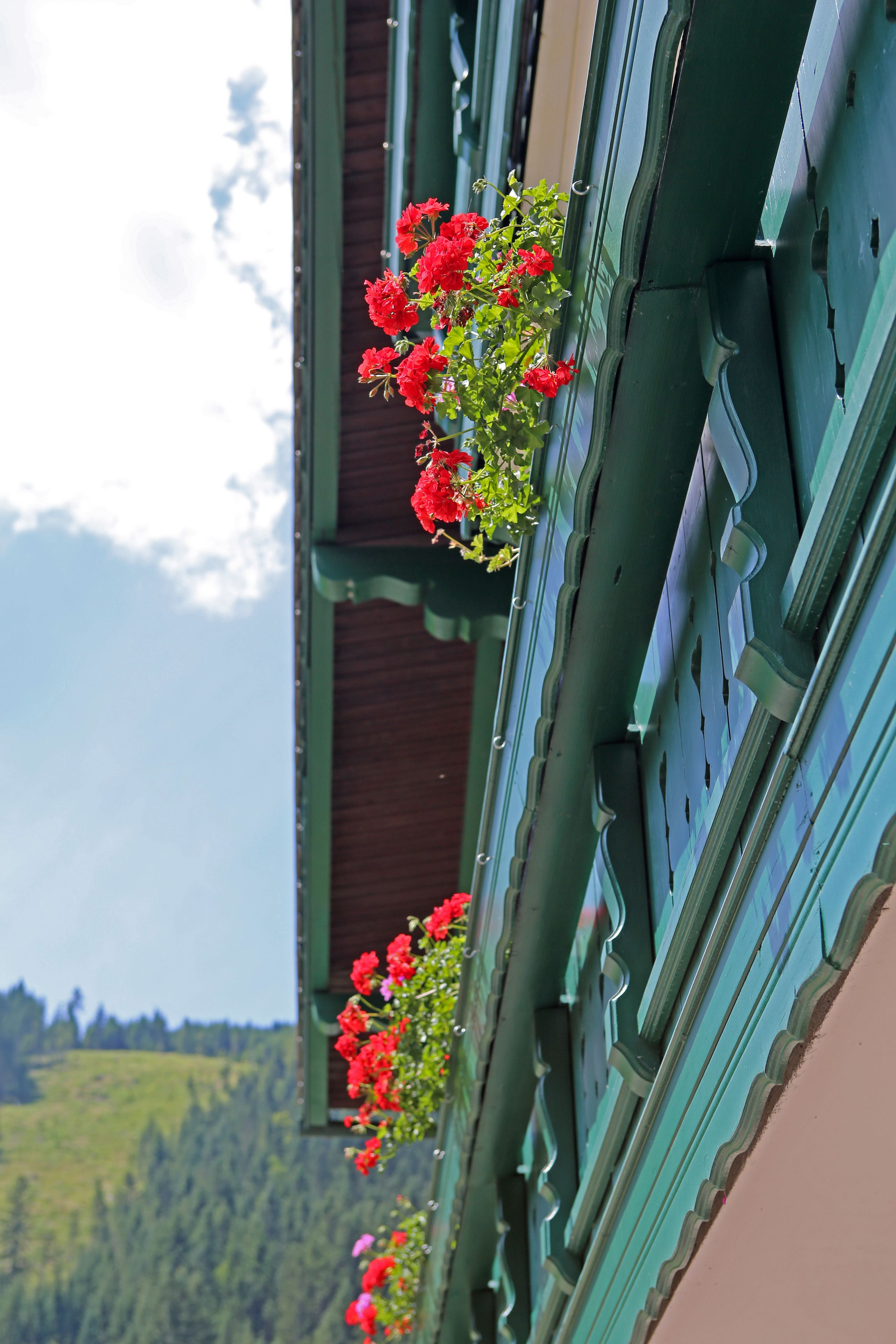 Traditional Apartment, 1 Bedroom, Balcony, Mountain View | Balcony