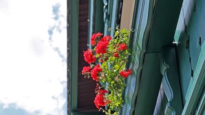 Un edificio con fachada verde y un balcón adornado con flores rojas.