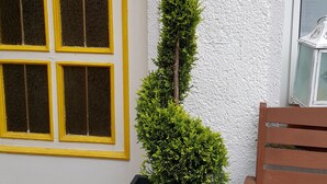 A potted coniferous tree with a spherical ornament on a textured wall, a yellow-framed window, and a wooden bench. - Ferienhaus am Schloss Sayn (Bendorf)