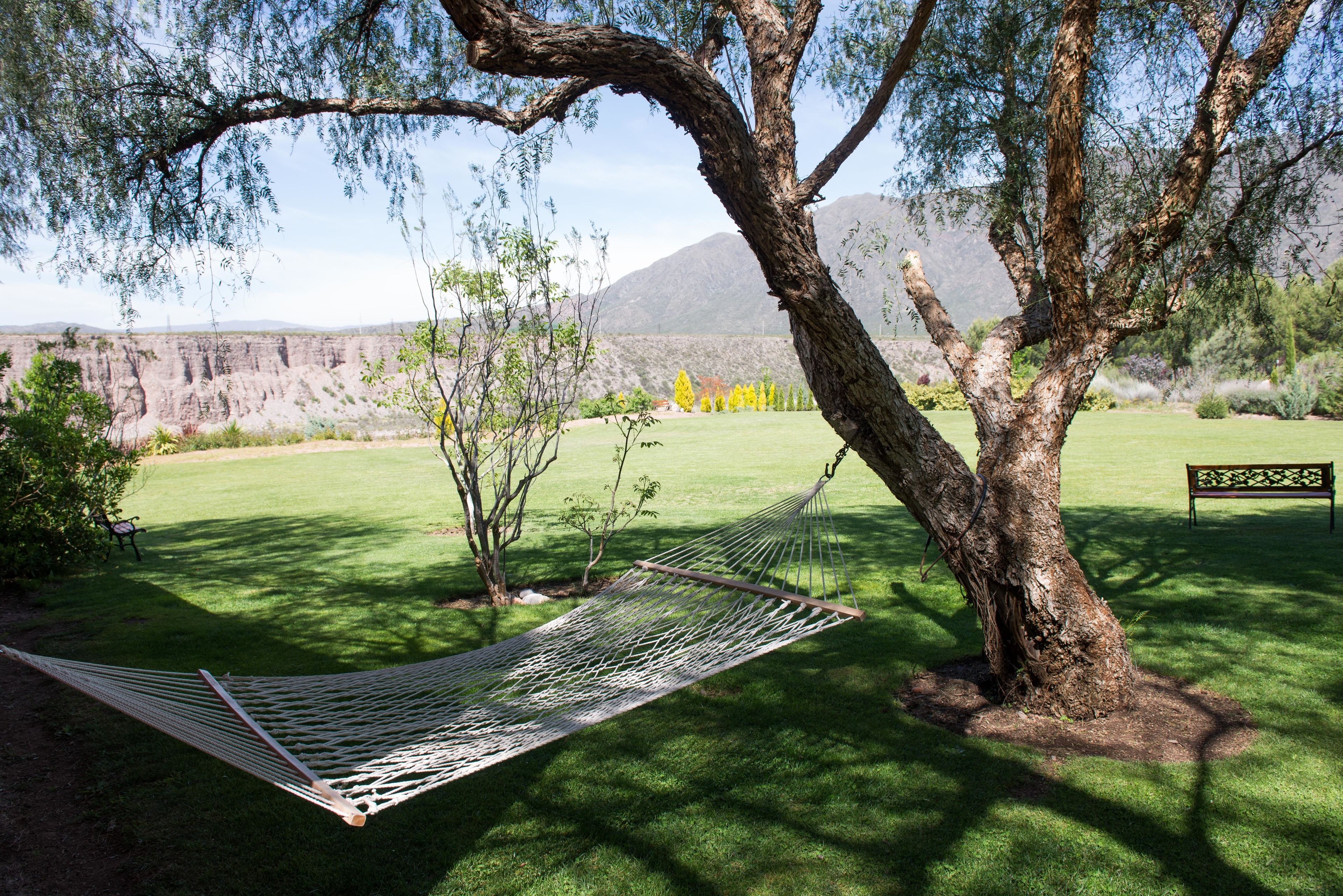 A hammock tied between two trees in a grassy area with a bench and a sign in the background.