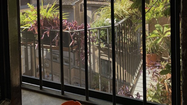 Vista a través de una ventana con celosía metálica, que muestra un balcón con plantas en macetas y suelo de hormigón.