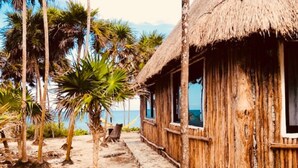 Una cabaña de madera con techo de paja, rodeada de palmeras y una playa de arena.