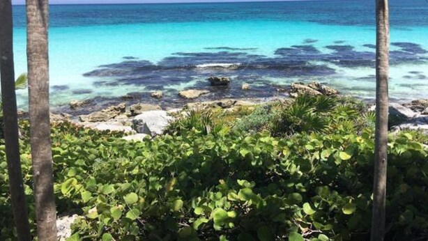 Una playa tropical con agua turquesa cristalina, costa rocosa y exuberante vegetación.