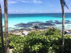 Una playa tropical con agua turquesa cristalina, costa rocosa y exuberante vegetación.