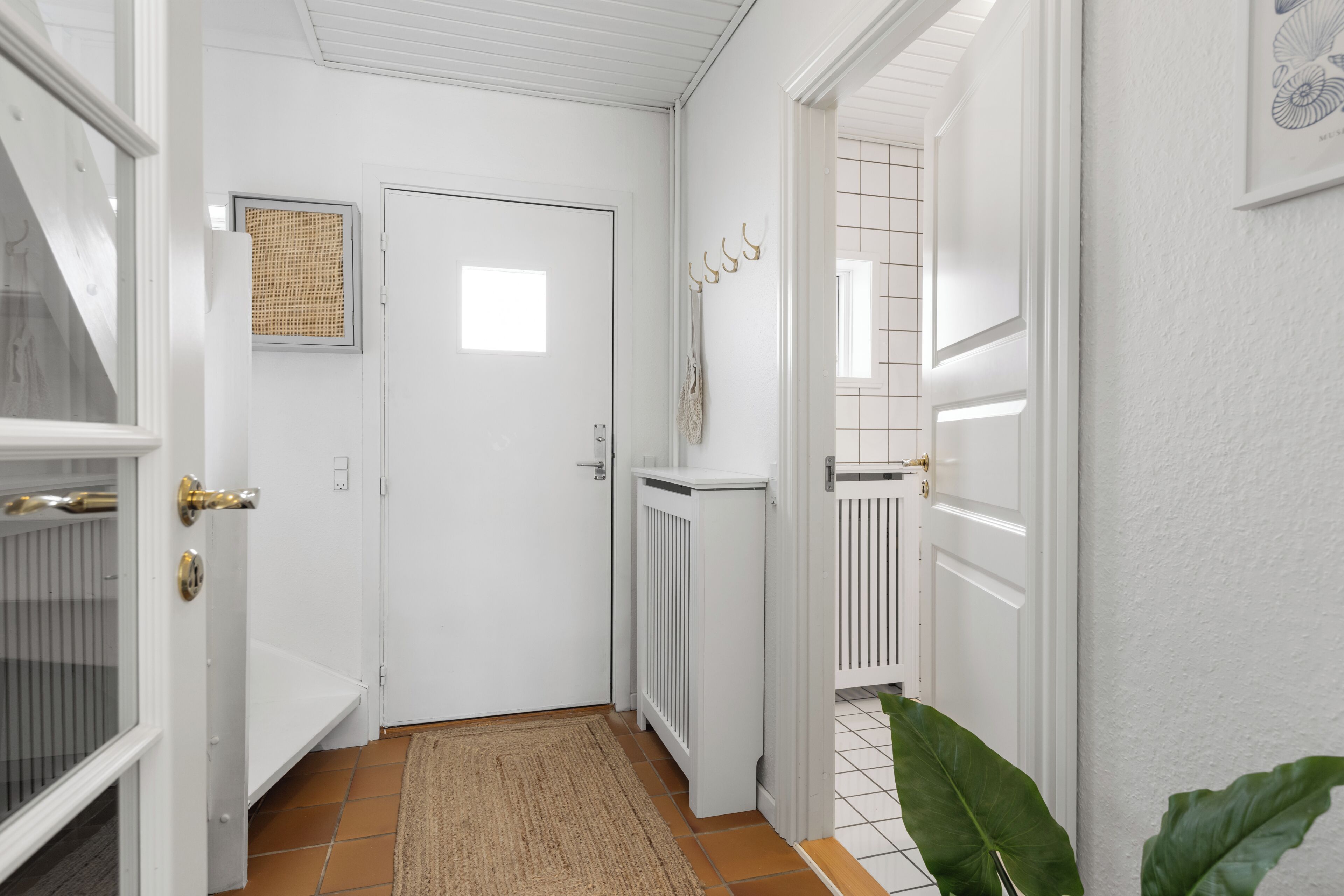 A hallway with white doors, a radiator, a hanging plant, and a framed picture on the wall.