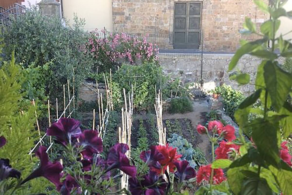 Classic Double or Twin Room | Garden