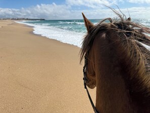 Vlak bij het strand, 2 strandbars