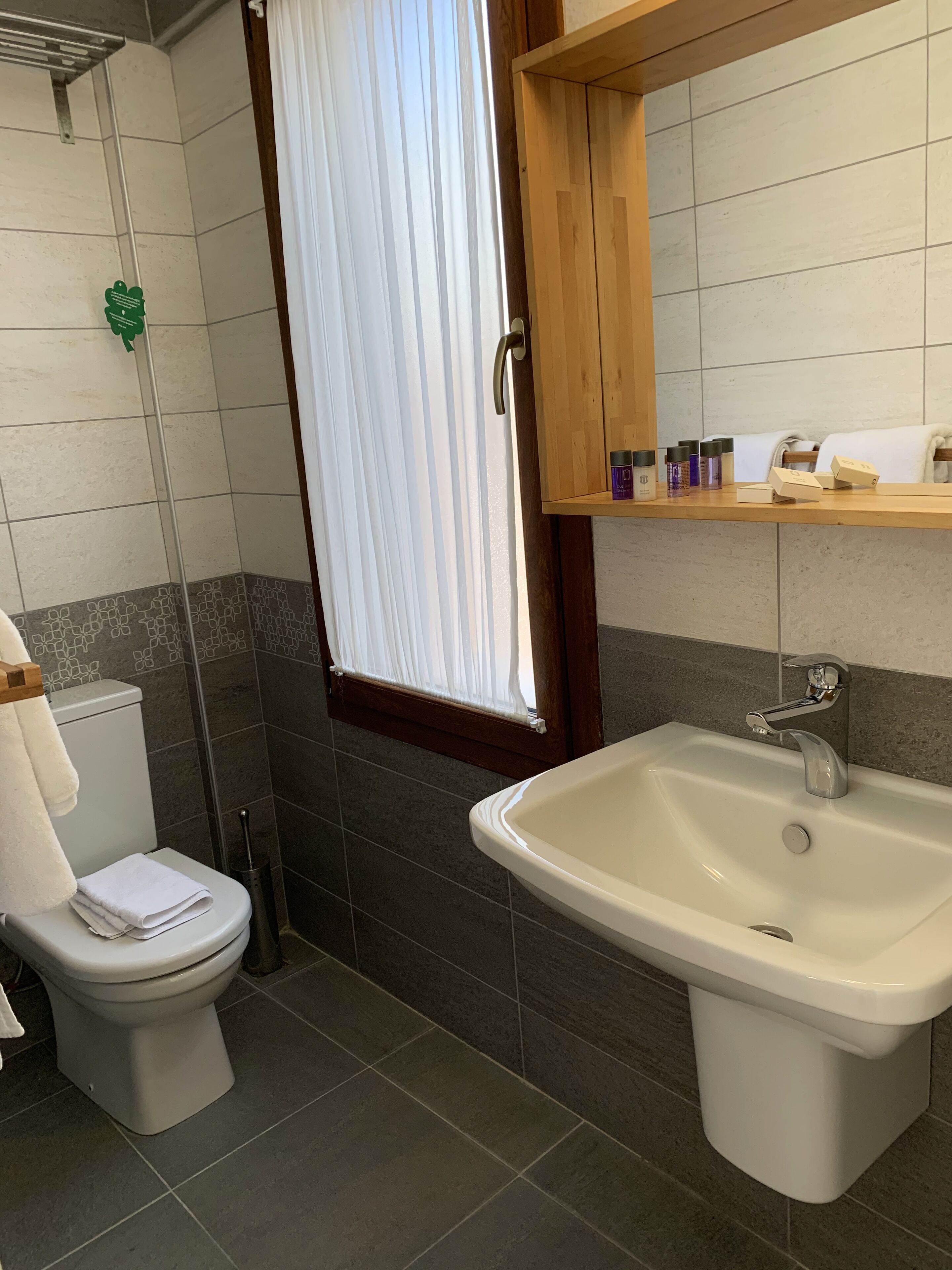deluxe double room | bathroom | shower, hair dryer, slippers, towels