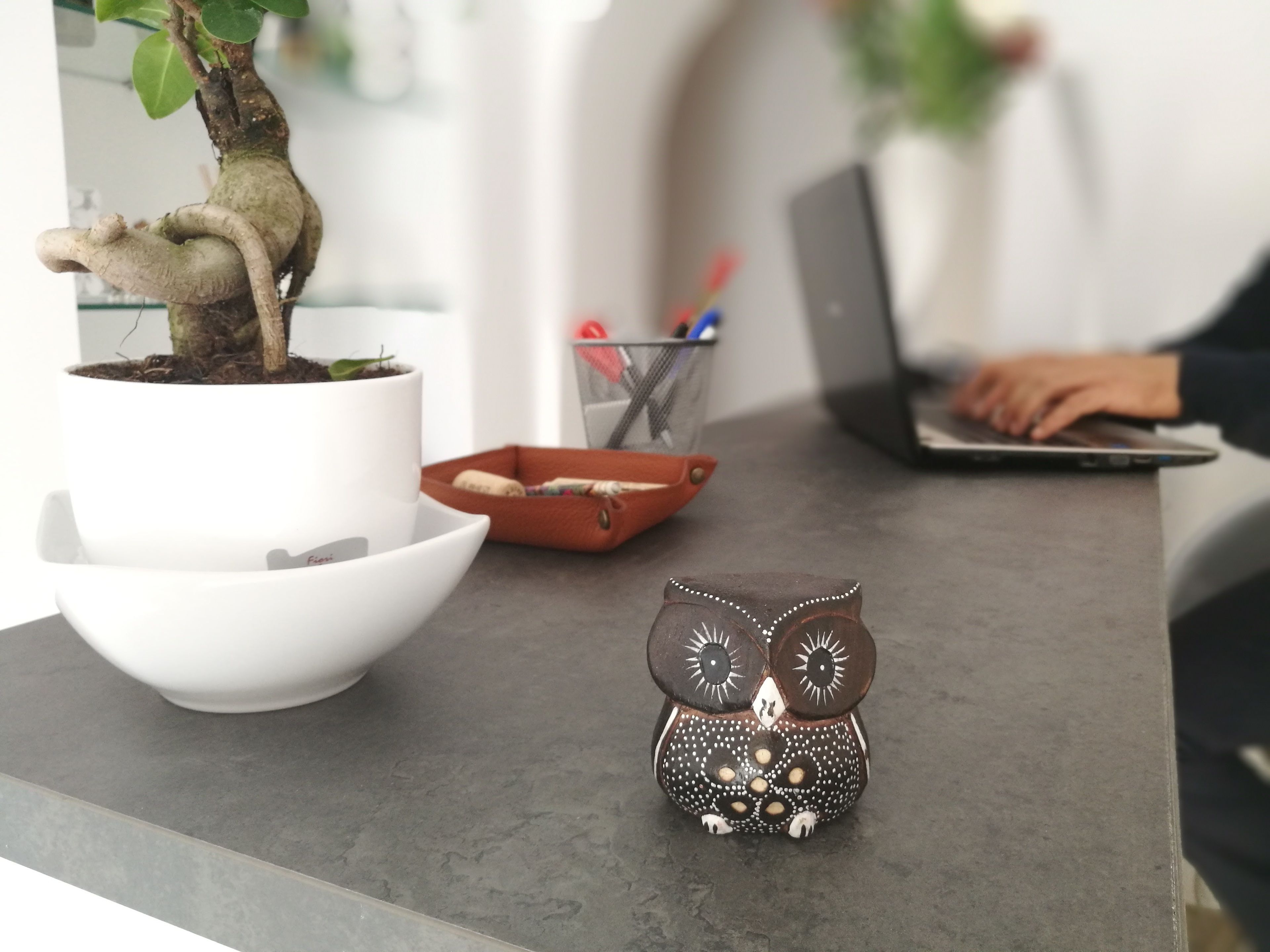 Un espacio de trabajo con un bonsái, una computadora portátil y una figura decorativa de un búho.