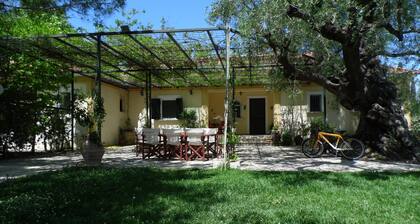 Beautiful Villa in a 11 acre olive grove