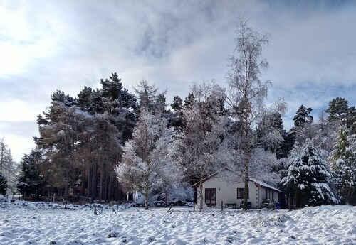 Pet-friendly holiday home in the quiet hamlet of Drumguish