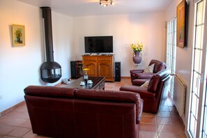 智能电视、壁炉、电子游戏、DVD 播放器