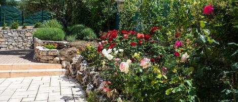 Terrein van de accommodatie