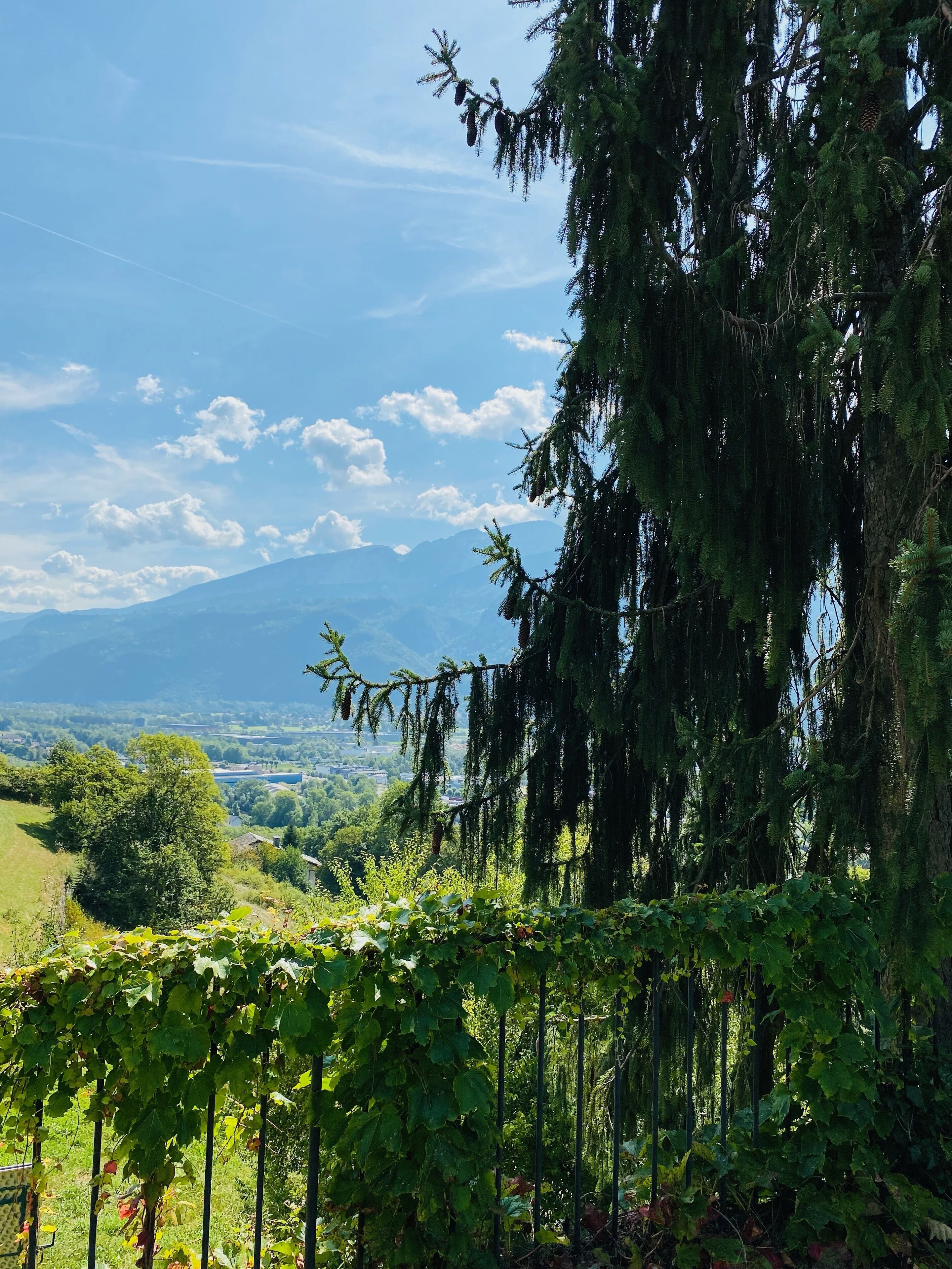Enceinte de l’hébergement