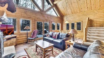 TV, fireplace, DVD player