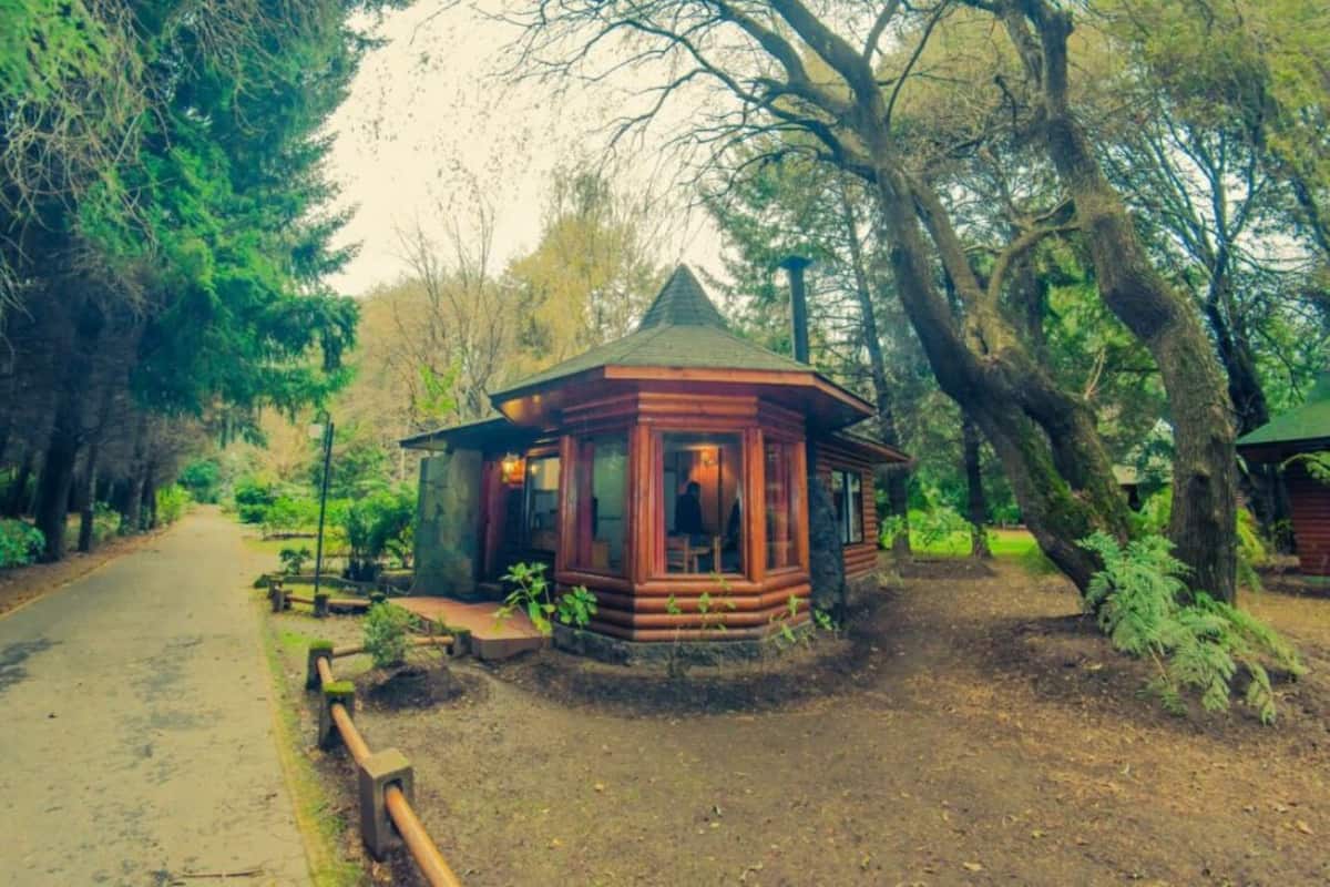 Una cabaña rústica de madera, rodeada de árboles y un sendero de tierra.