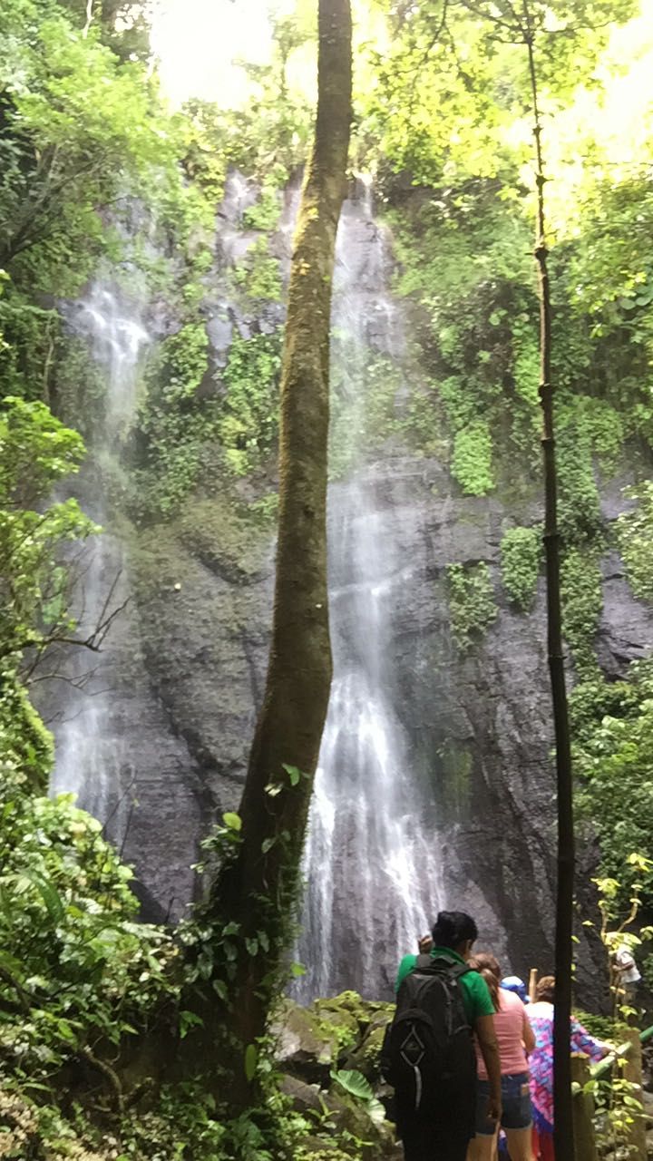 A waterfall surrounded by lush greenery, with visitors observing the natural scenery.