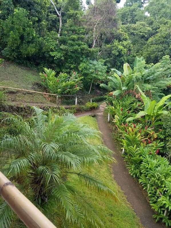 Exterior - Cabañas Cascadas Encantadas (Catemaco)