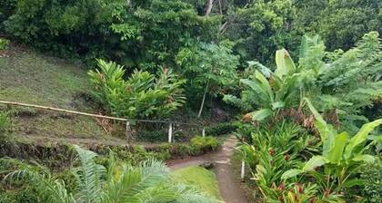 Cabañas Cascadas Encantadas