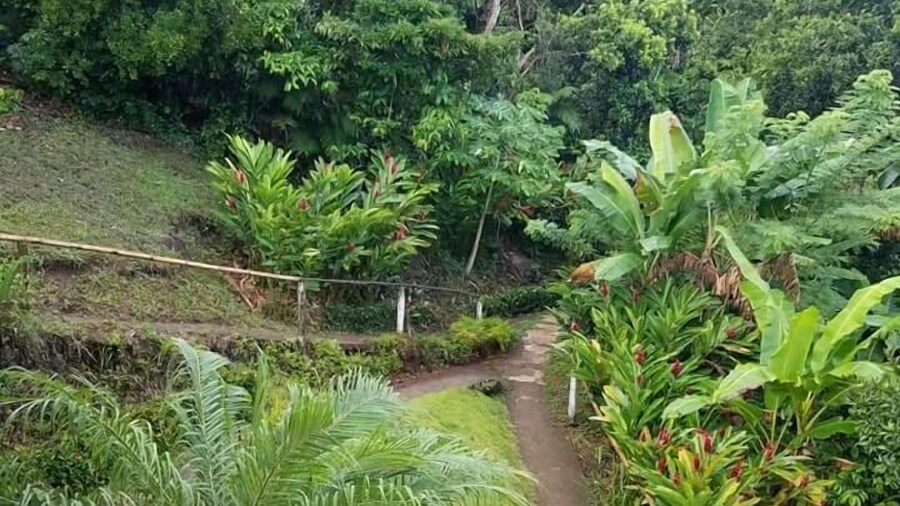 Cabañas Cascadas Encantadas