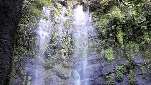 Una cascada se precipita por un acantilado rocoso rodeado de vegetación exuberante.