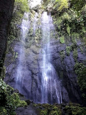 Exterior - Cabañas Cascadas Encantadas (Catemaco)