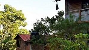 Una casa de madera rústica con techo rojo, rodeada de abundante vegetación y árboles.