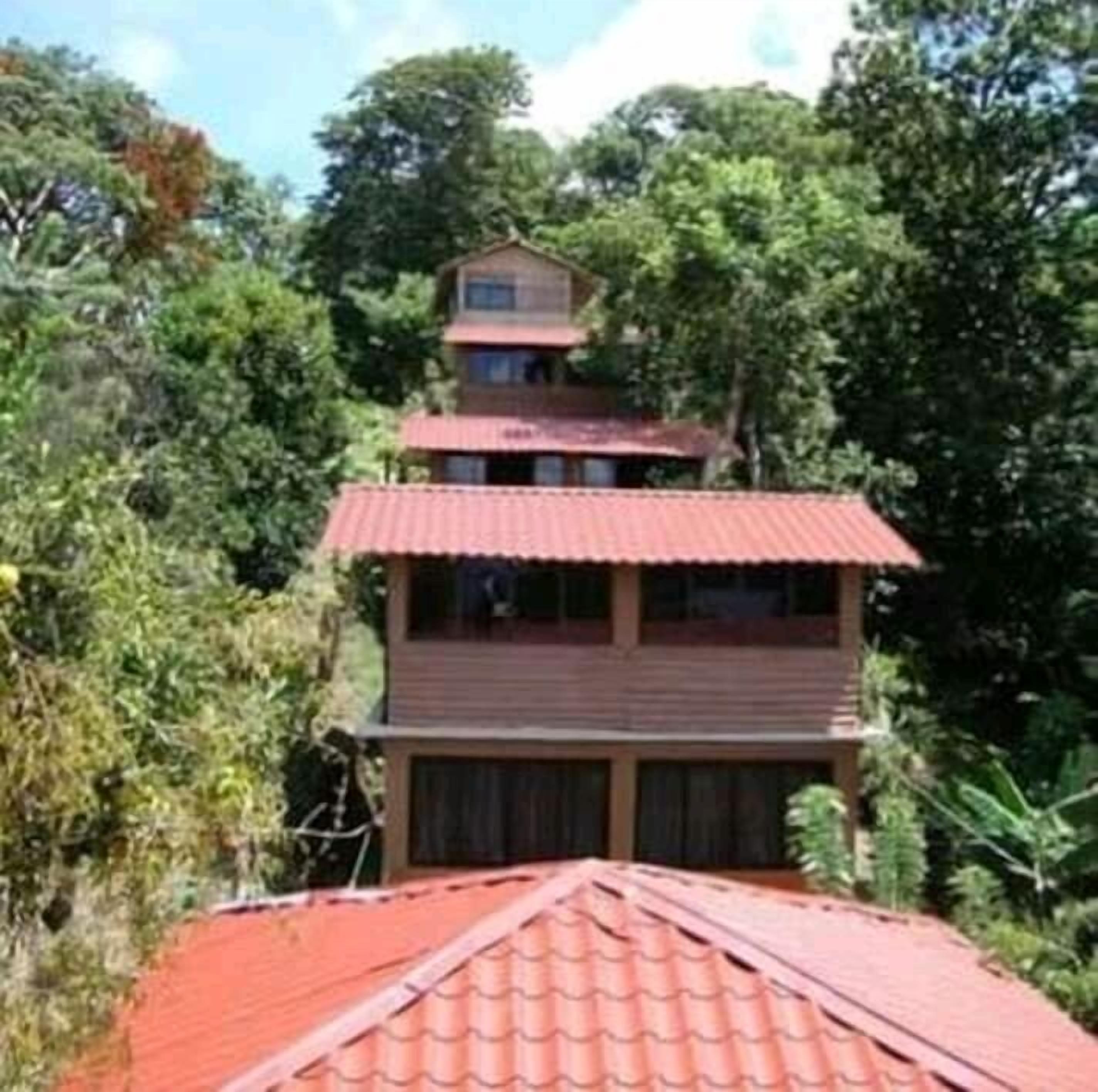 A two-story building with a red roof, surrounded by dense greenery.