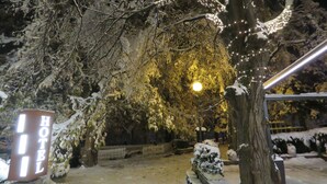 A snow-covered outdoor area with a bench, a tree with lights, and a sign for a hotel. - Hotel Villa Boyana (Sofia)