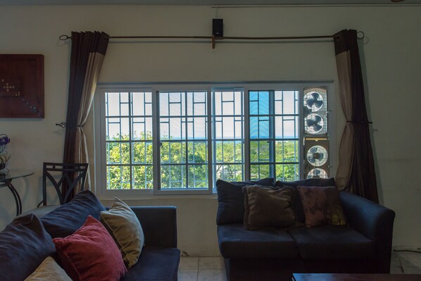 Flat-screen TV, iPod dock