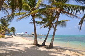 A beach with palm trees, a pier, and a boat. - Parham Plaza Hotel (San Pedro)