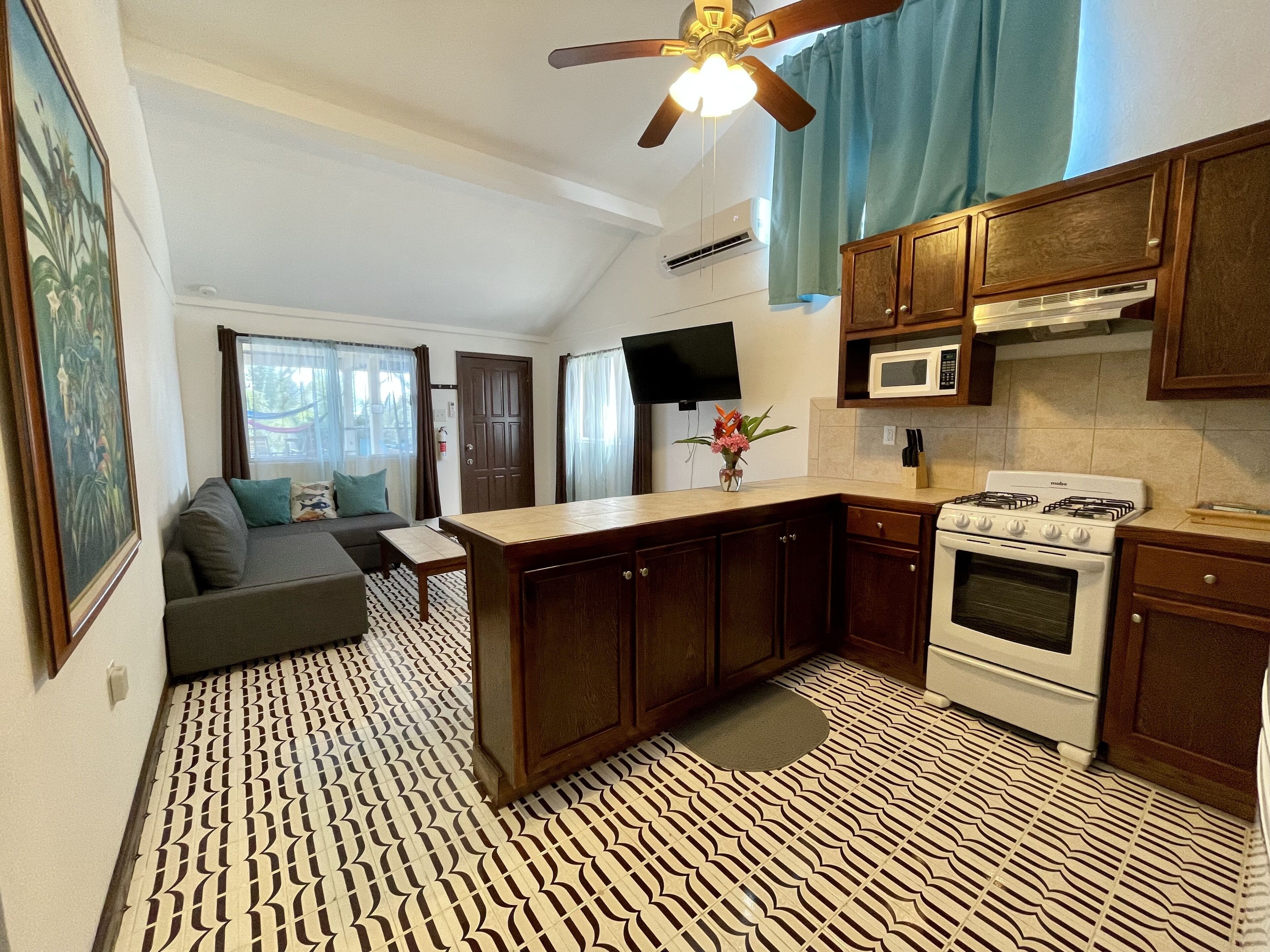 deluxe apartment, 2 bedrooms, ocean view | private kitchen | full-sized fridge, microwave, coffee/tea maker, cookware/dishes/utensils