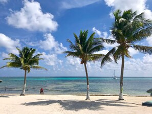 A beach with three palm trees and a clear blue sky. - Parham Plaza Hotel (San Pedro)
