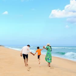 On the beach, free beach cabanas, sun loungers, beach umbrellas