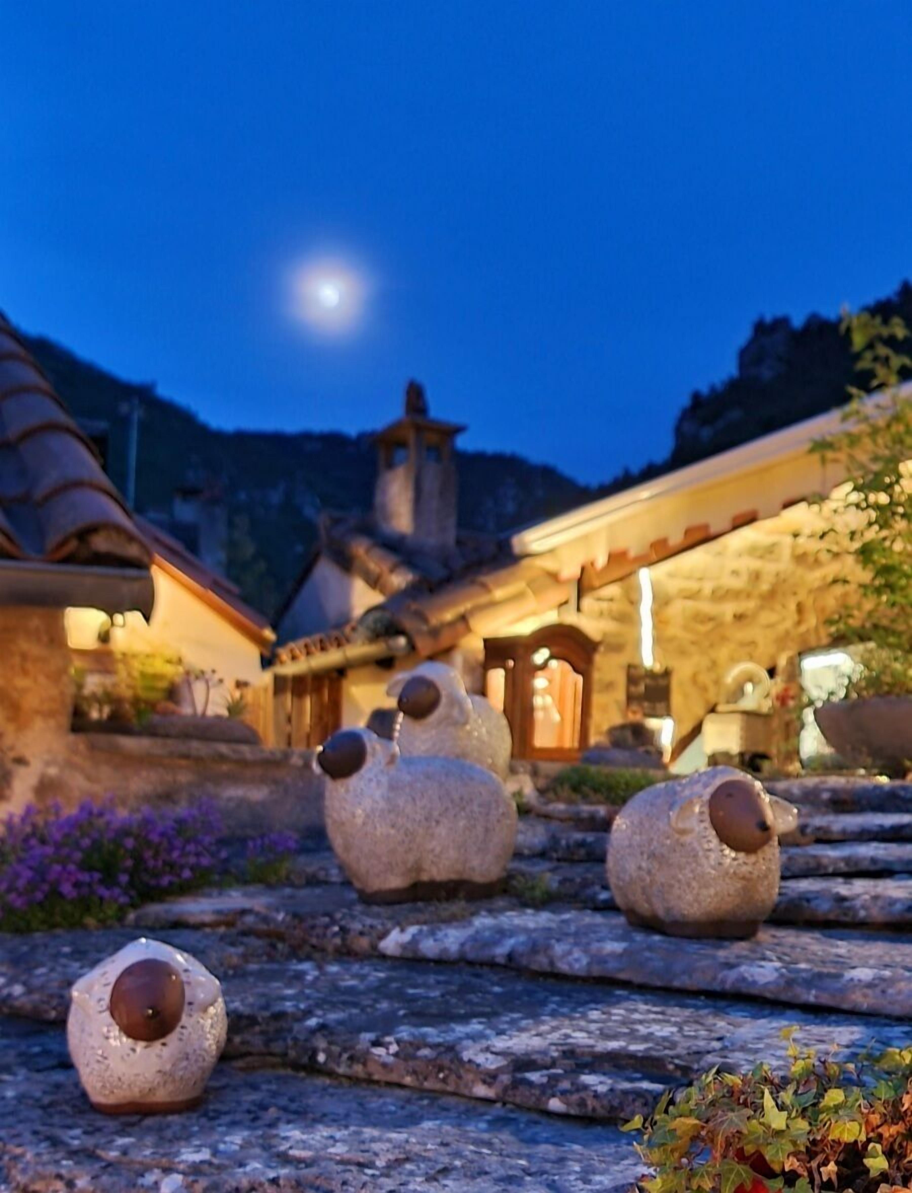 Un sendero de piedra que lleva a un edificio con techo tradicional y una torre de campanas, bajo un cielo nocturno con luna visible.