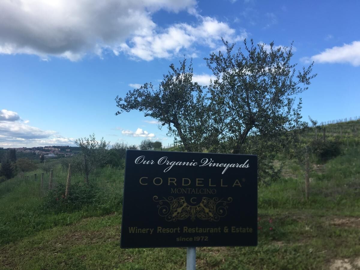 Letrero de Cordella Montalcino, viñedo, resort, restaurante y finca, fundado en 1972, con vista a un árbol y el paisaje de fondo.