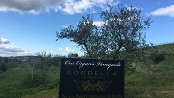 Cordella Montalcino -viinitilan, -hotellin ja -ravintolan opastekyltti. Tila on ollut olemassa vuodesta 1972, ja kyltissä näkyy taustalla puu ja maisema.