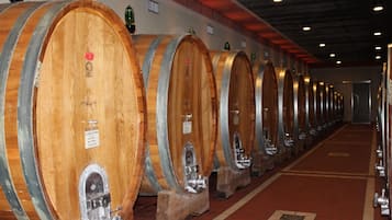Une rangée de tonneaux en bois, cerclés de métal et dotés de robinets, est alignée le long d’un couloir dont le sol est recouvert de carreaux rouges.