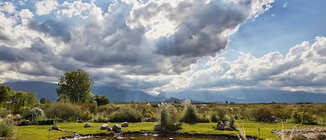 Ropa de cama de alta calidad, edredones de plumas, minibar y caja fuerte
