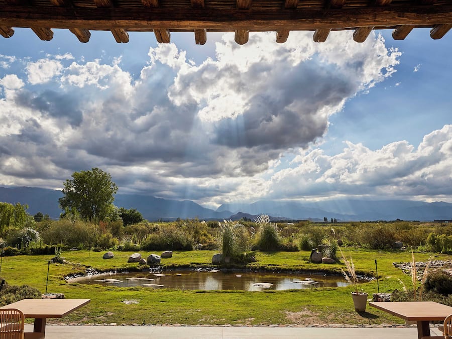 Premium bedding, down comforters, minibar, in-room safe