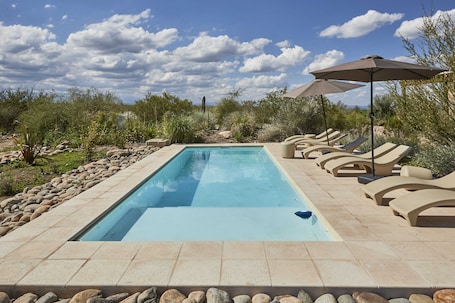 Outdoor pool, sun loungers